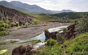 قطع هزار درخت در روستایی در کرمان