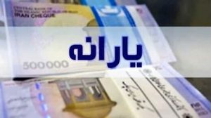 رییس سازمان هدفمندی یارانه‌ها: خودسرانه نمی‌توان یارانه‌ها را بالا برد